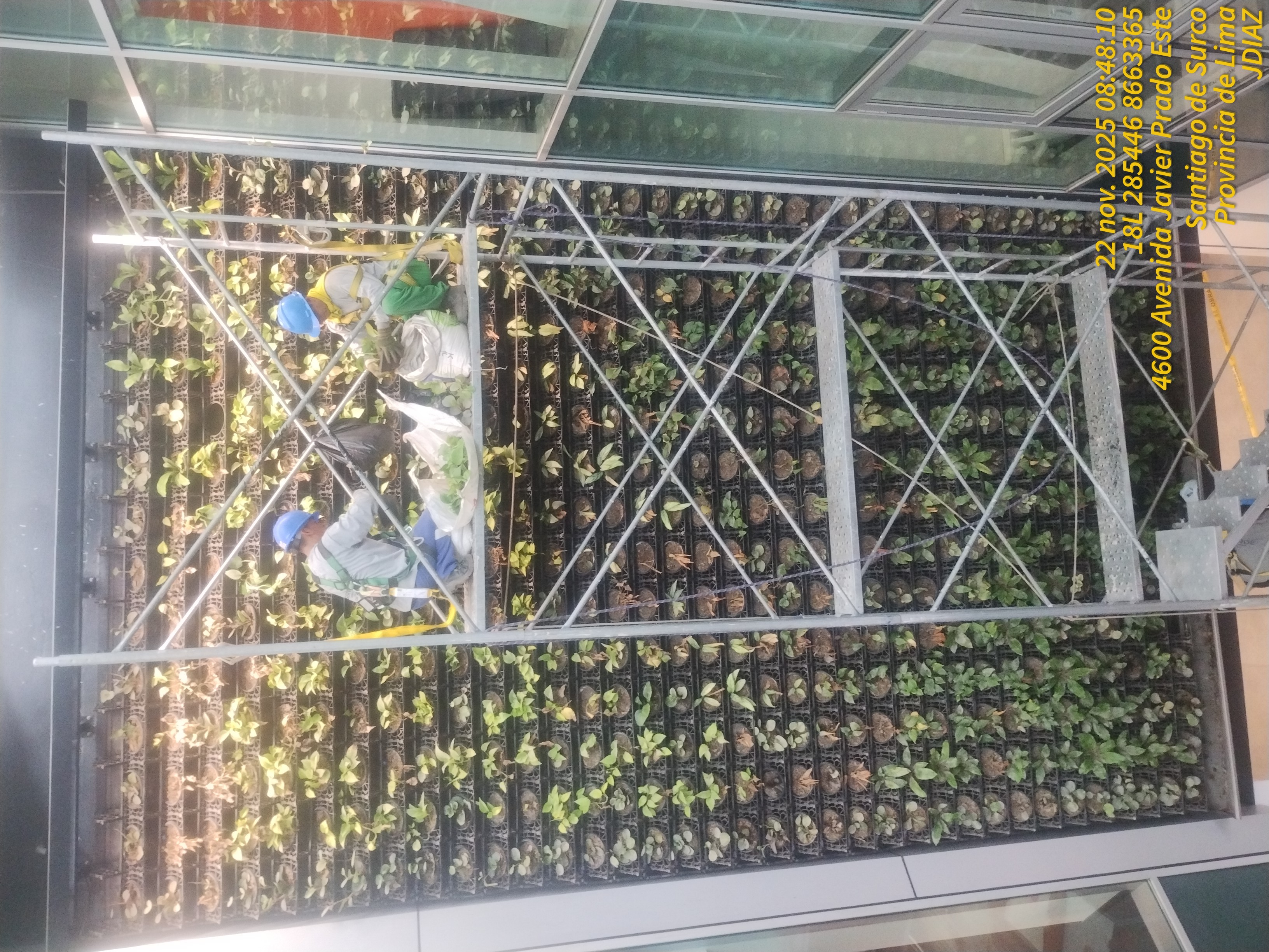 JARDINES VERTICALES